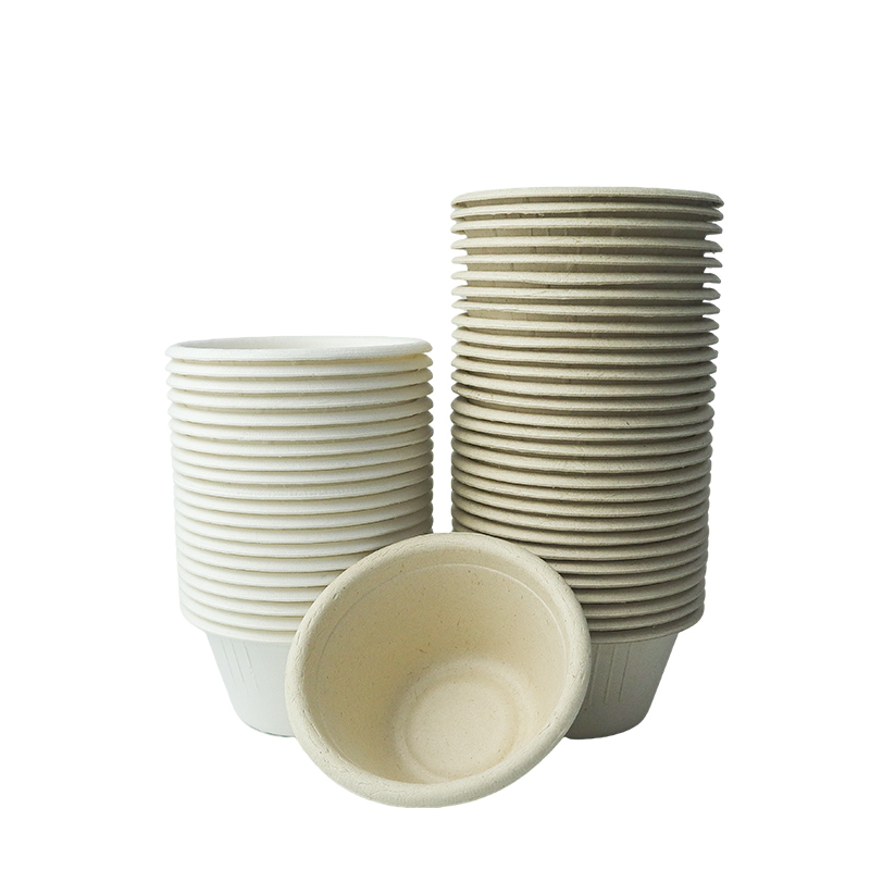 2 oz dipping sauce cup (with lid)