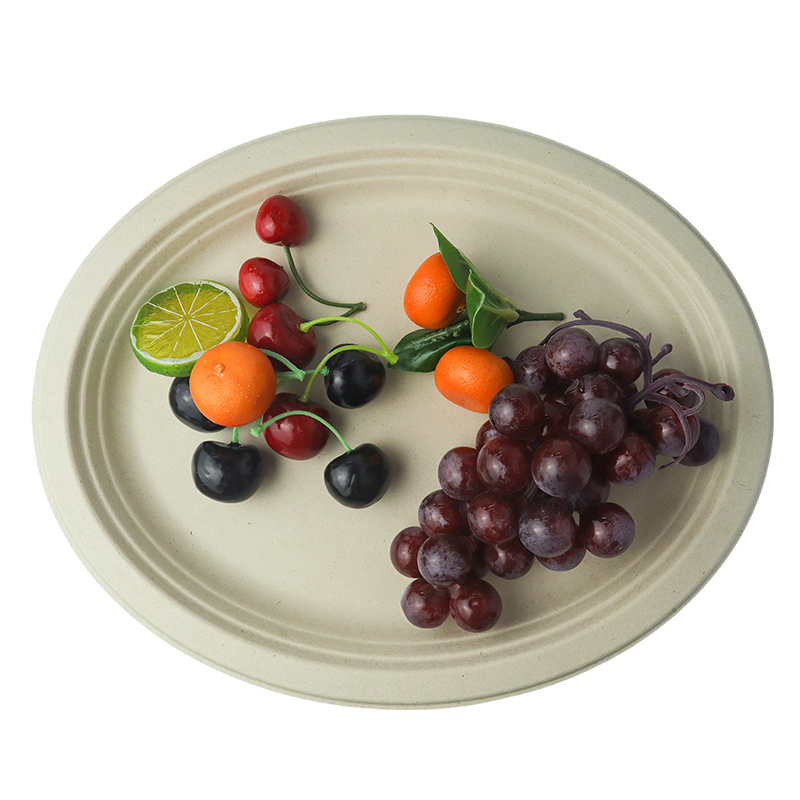 10 inch elliptical disc (white/natural)