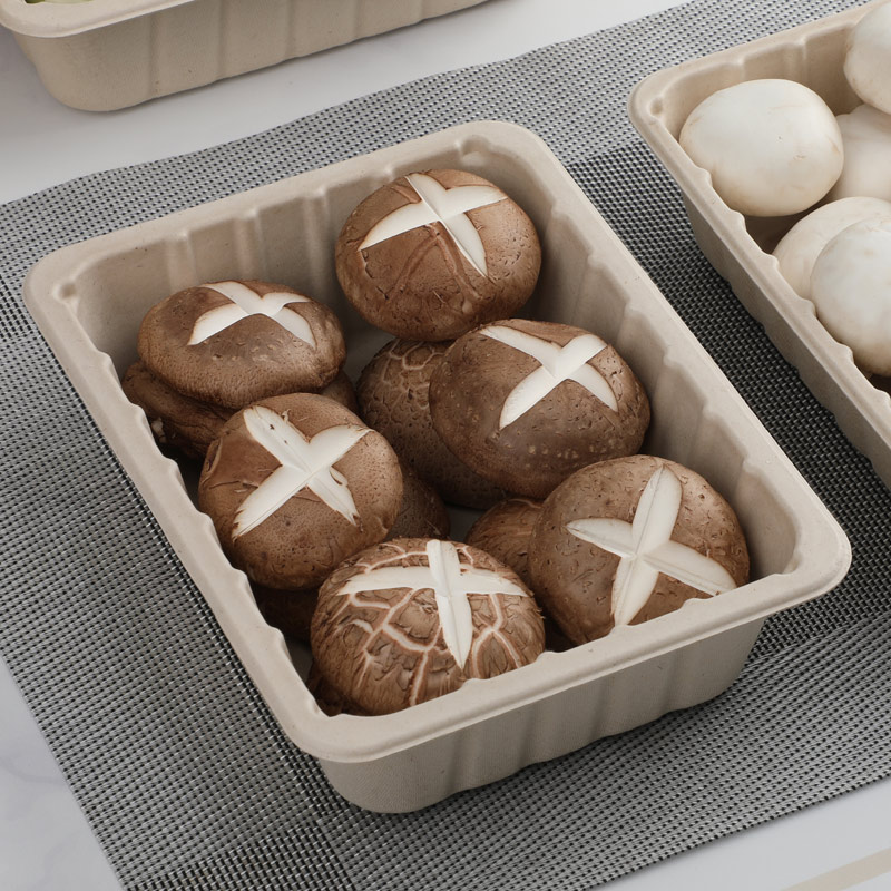 Multiple sizes of fresh food trays (original color)