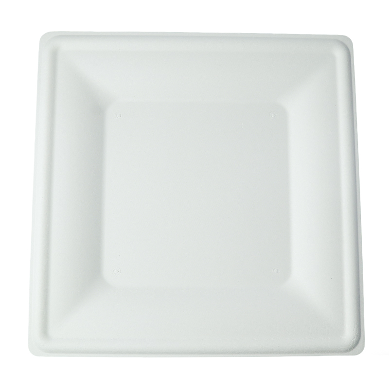 10-inch square plate (white/natural)
