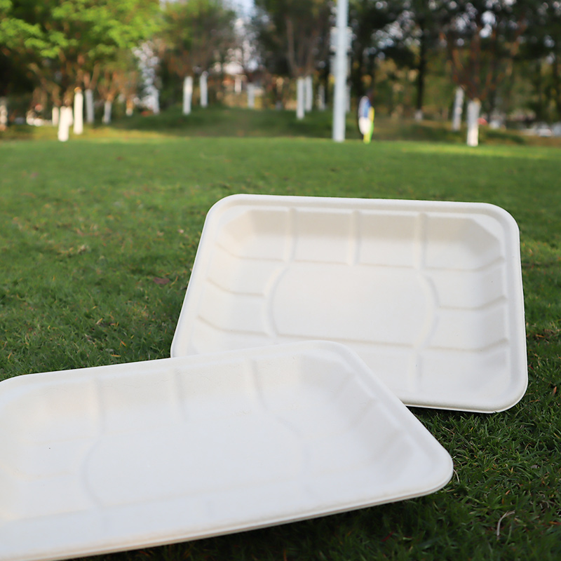 Multiple sizes of fresh food trays (white)