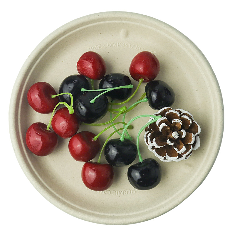 Fruit platter (with lid)