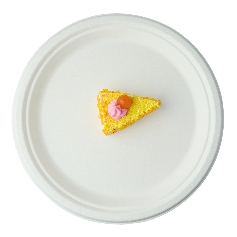 9-inch disc (white/natural)