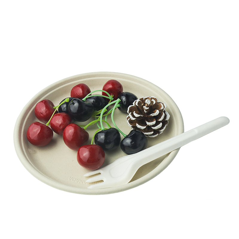 Fruit platter (with lid)