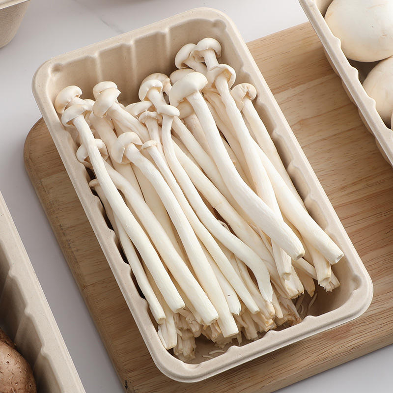 Multiple sizes of fresh food trays (original color)