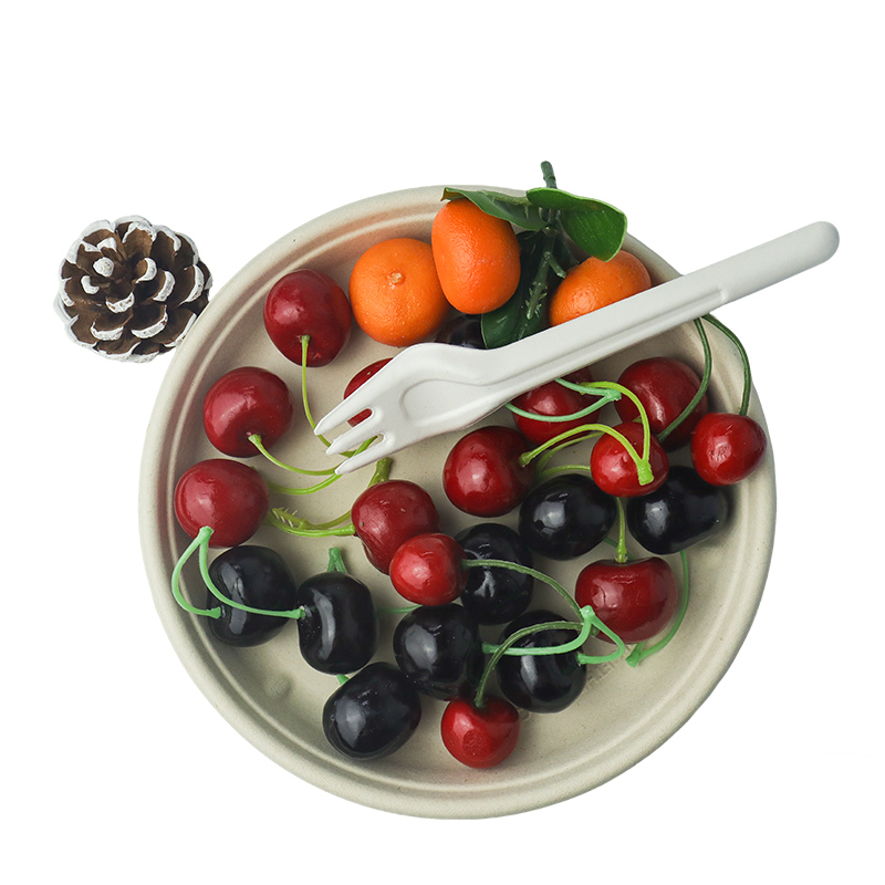 Fruit platter (with lid)