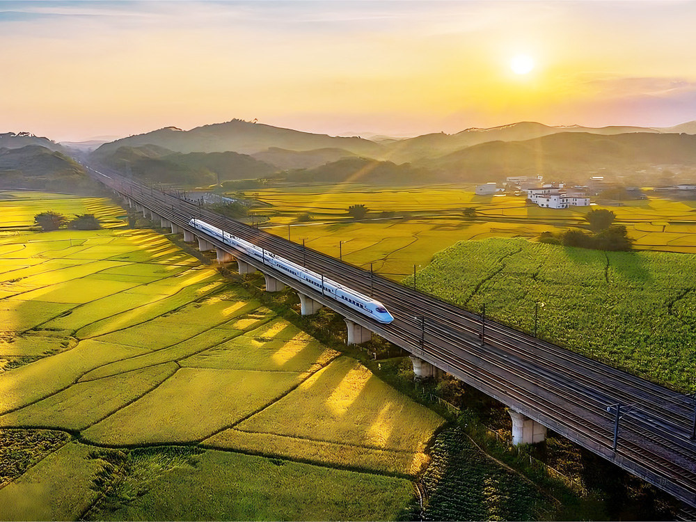 Congratulations on the successful launch of the official website of Baishi Ecological Industry Chain (Shenzhen) Co., Ltd!